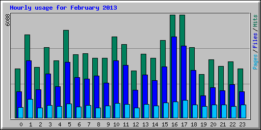 Hourly usage for February 2013